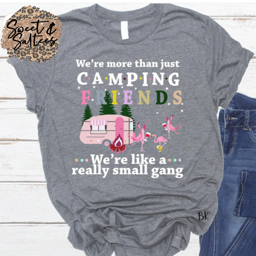 We’re more than just camping friends t-shirt